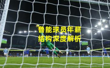 鲁能球员年薪结构深度解析