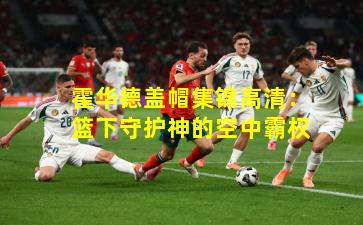 霍华德盖帽集锦高清：篮下守护神的空中霸权