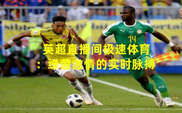 英超直播间极速体育:绿茵激情的实时脉搏